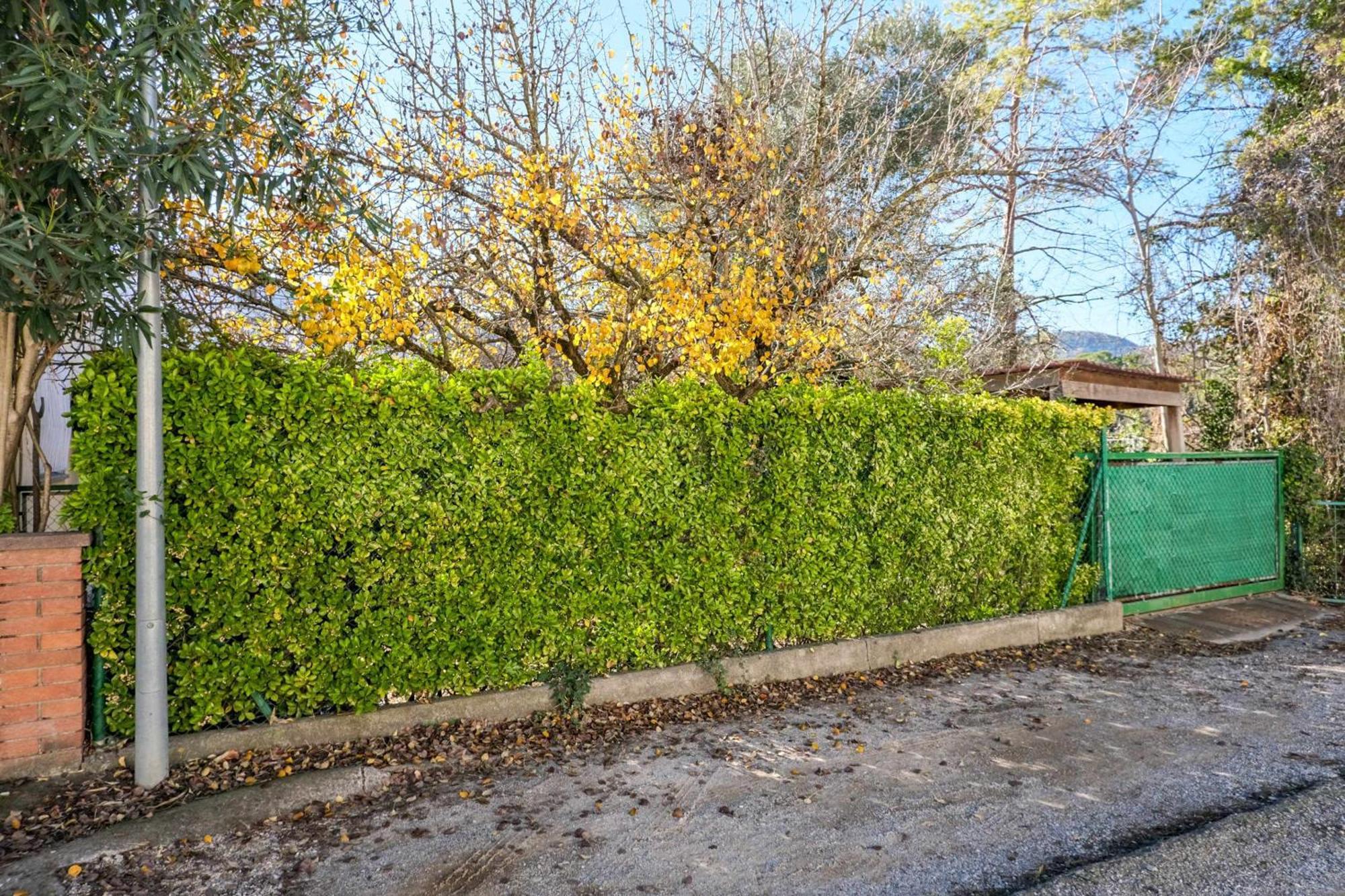Can Camps Besalú Alojamiento con jardín privado Exterior foto